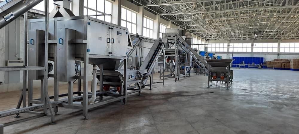 Destoning equipment at the Afghan Samoon factory