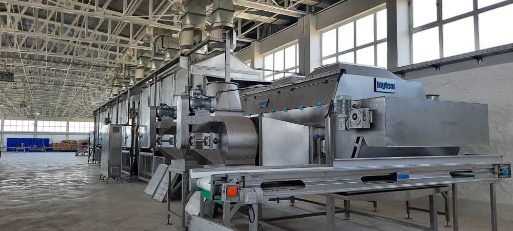 Drying stage at the Afghan Samoon factory