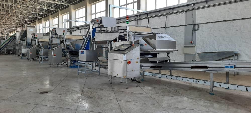 Stainless-steel sorting machinery at the Afghan Samoon factory