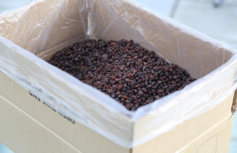 Raisins filled into lined export cartons on the Afghan Samoon packing line